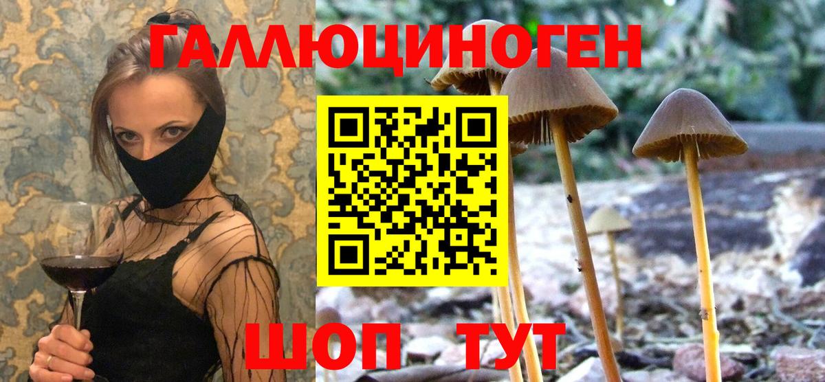Псилоцибиновые грибы Psilocybine cubensis  Вход с VPN  Юрга  магазин продажи   Псилоцибиновые грибы прущие грибы 